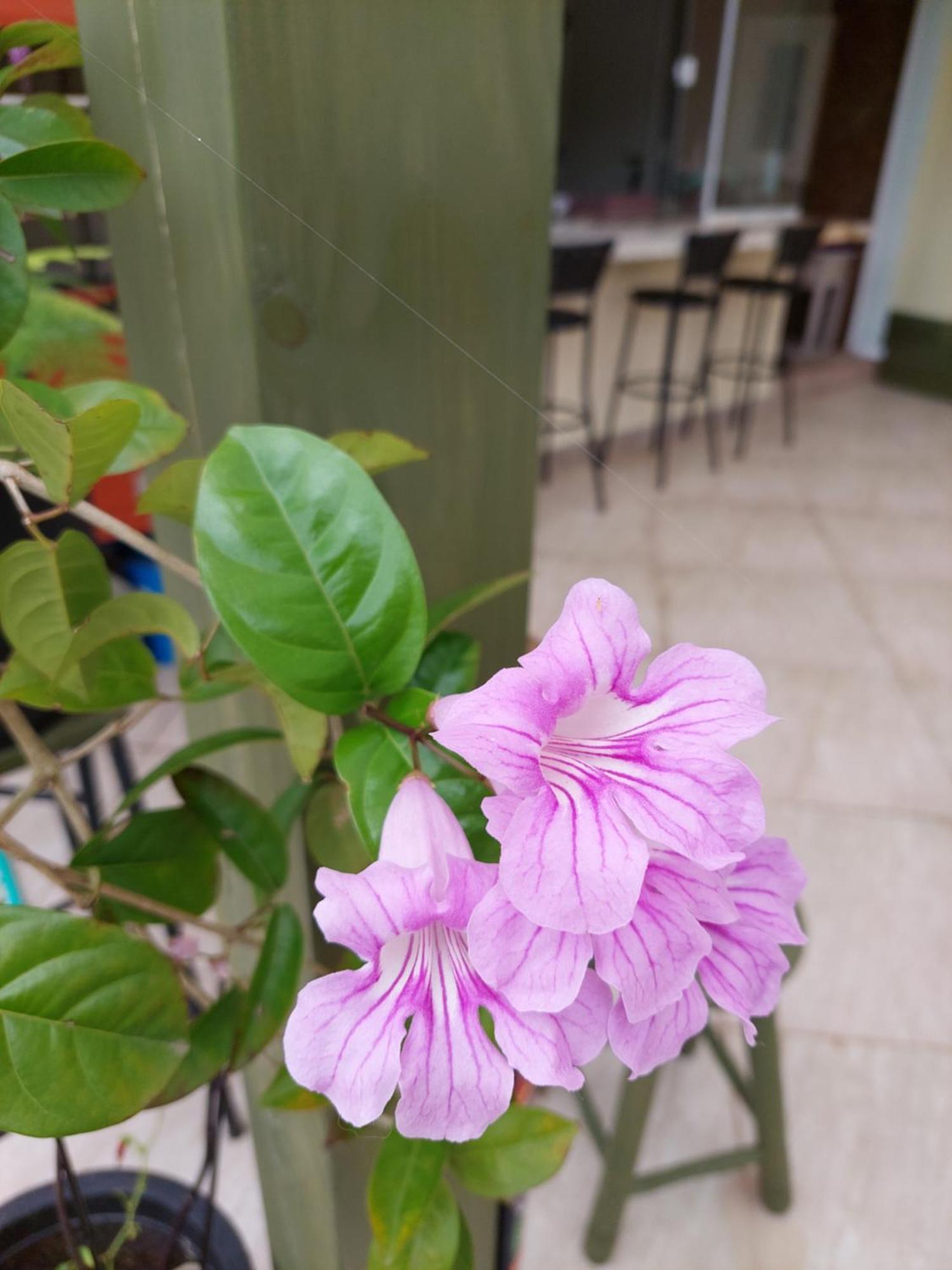 Apartament Jurere Cobertura 400M Do Mar Vista Linda Florianópolis Pokój zdjęcie